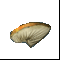 Кусочек гриба